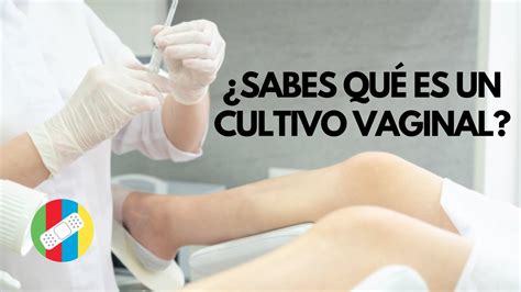 Sabes qué es un cultivo vaginal YouTube