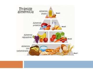 Alimentación y nutrientes PPT Descarga Gratuita