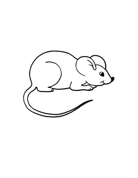 20 Downloadable Mouse Coloring Pages