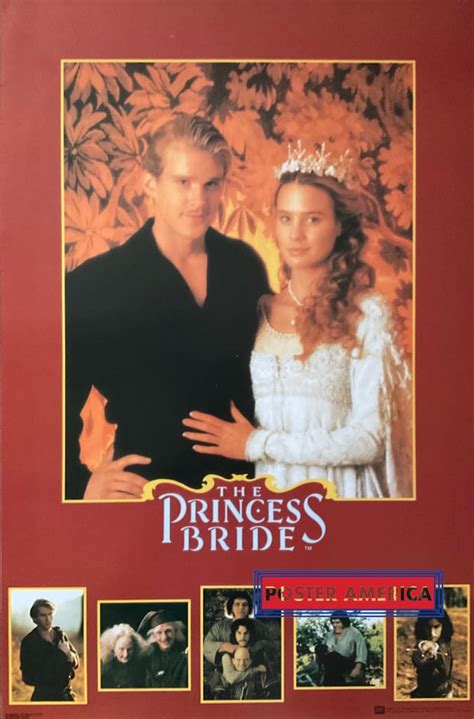 The Princess Bride Original Vintage 1987 23 x 35 Poster – PosterAmerica