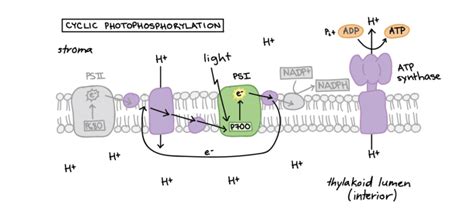 Light | Best Diagram Collection