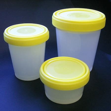 Globe Scientific Histology Container Ml Pp Pk Zoro