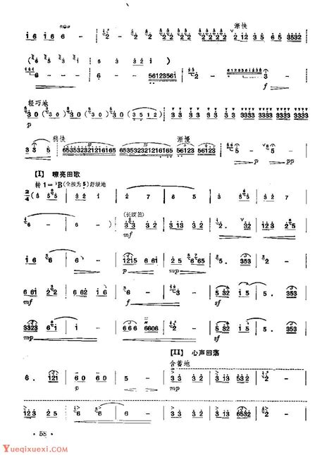 经典竹笛乐曲《田野》许国华 孔庆宝曲 笛子曲谱 乐器学习网