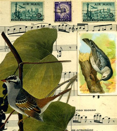 Birds Blossoms Butterflies Collage By Thomas Terceira Saatchi Art