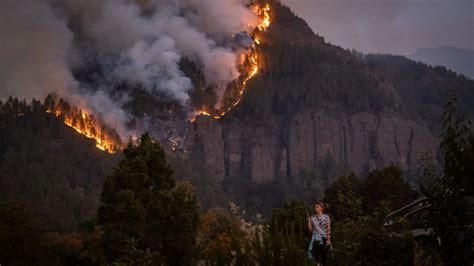 Where are the Tenerife wildfires? Chilling map and location explained ...