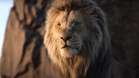 Mufasa The Lion King Release Date Cast Plot And More Details