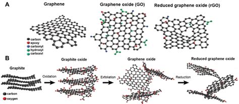 A Schematic Chemical Structures Of Graphene Graphene Oxide And Download Scientific Diagram