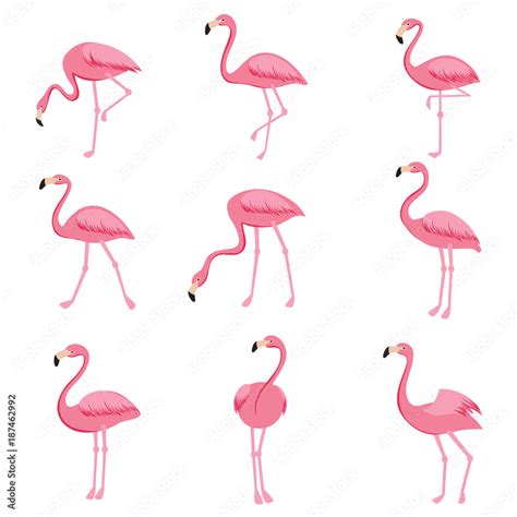 Vetor De Cartoon Pink Flamingo Vector Set Cute Flamingos Collection Do