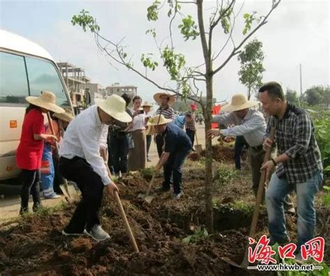 美兰区3月13日媒体新闻报道 搜狐