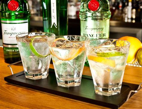 Cinco Claves Para Un Gin Tonic Perfecto Cómo Hacer El Gin Tonic Perfecto