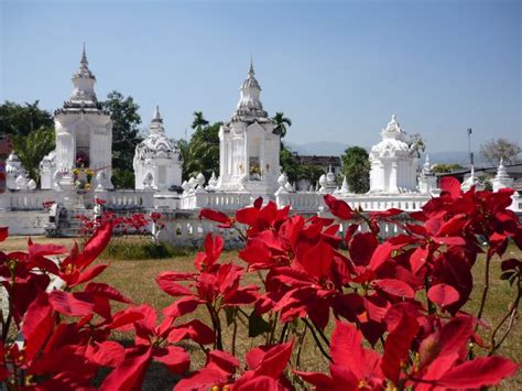 Wat Suan Dok Chiang Mai