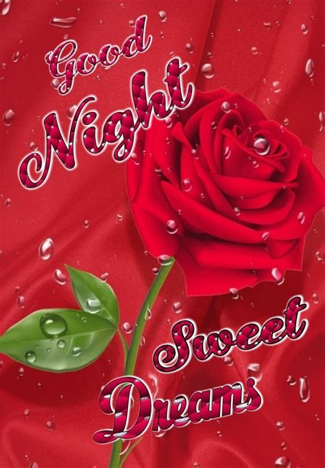 Wet Rose Good Night Sweet Dreams Pictures Photos And Images For