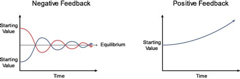 Negative and Positive Feedbacks. | Download Scientific Diagram