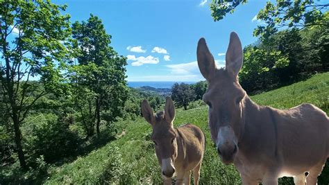 Mele Oasi Wwf Il Maggio Evento Gratuito Immersi Nella Natura Con