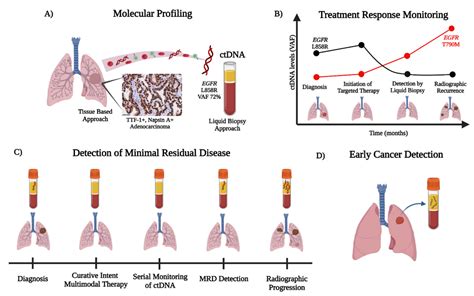 Circulating Tumor Dna In Early Lung Cancer Detection Encyclopedia Mdpi