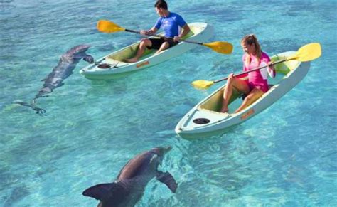 Dubai Gita In Kayak Con I Delfini Dell Atlantis E Parco Acquatico