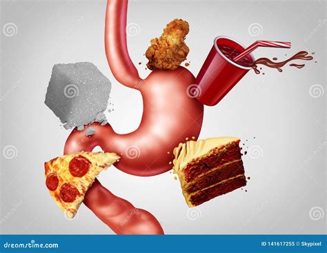 Digestive Health And Junk Food Stock Illustration Illustration Of