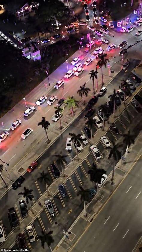 Moment Over Sixty Miami Cop Cars Swarm Marketplace After Brawl Broke