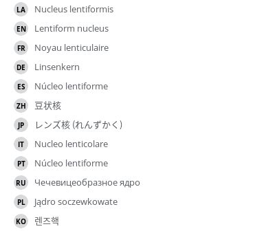 Lentiform nucleus - e-Anatomy - IMAIOS