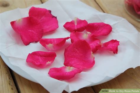 How to Dry Rose Petals (with Pictures) - wikiHow