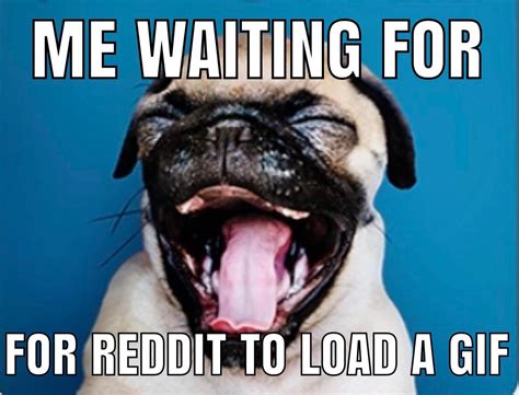 Best Meme Template Rmeme