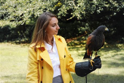 Falconry at Ashford Castle - The Coastal Confidence