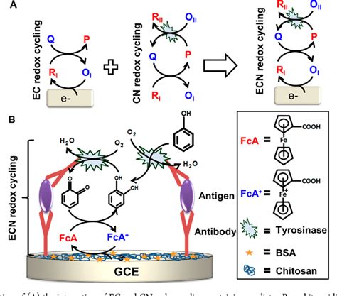 Figure 1 From An Integrated Redox Cycling For Electrochemical Enzymatic