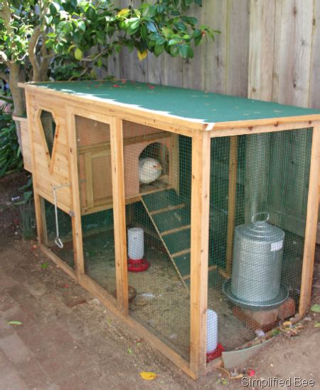 Our Backyard Chicken Coop - Simplified BeeSimplified Bee