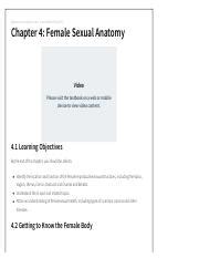 Understanding Female Sexual Anatomy Vulva Vagina Uterus And Course Hero