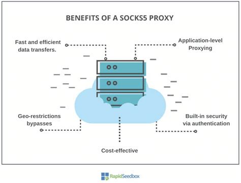 Socks5 Proxy What Is It And How To Set It Up — Rapidseedbox