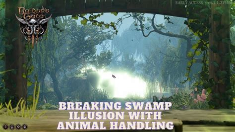 Baldurs Gate 3 Breaking The Swamp Illusion With Animal Handling Youtube