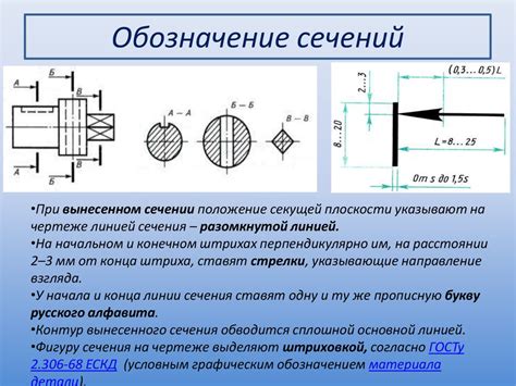 Сечения - презентация онлайн