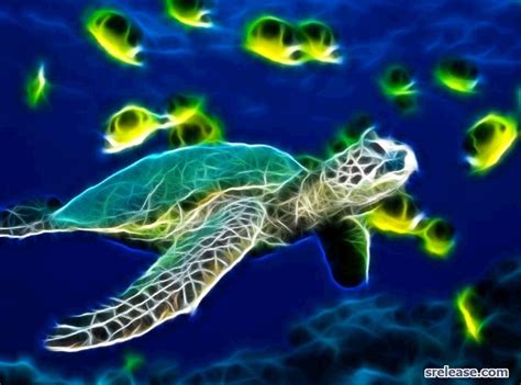 Sea Turtles Wallpapers Wallpaper Cave