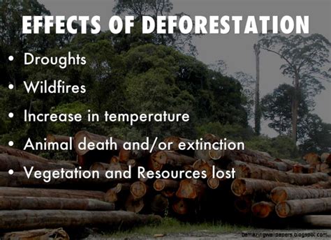 DEFORESTATION EFFECTS