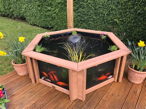 Lily Clear View Garden Aquarium Raised Hexagon Pond Etsy Australia