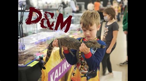 Reptile Expo Colorado Springs Youtube