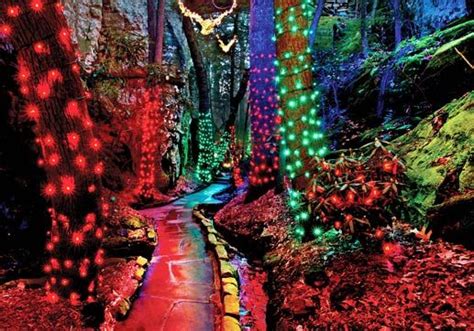 Colorful Lights Decorate The Trees And Walkways In This Fairy Tale