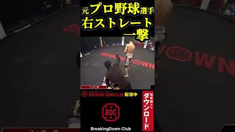 元プロ野球選手の右ストレートで一撃‼︎ ブレイキングダウン Breakingdown 朝倉未来 Shorts 朝倉海 プロ野球 西武