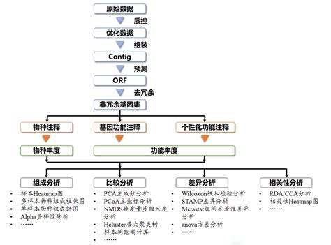 宏基因组测序 云生物—上海生物医药科研服务云平台测序，芯片，科研解决方案