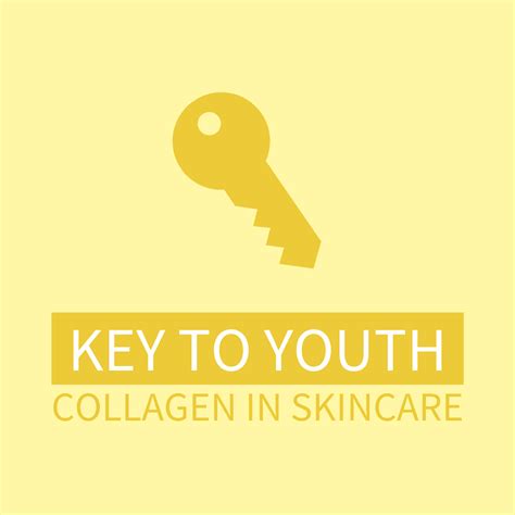 Collagen In Skincare The Key To Youth Picky No 1 K Beauty And