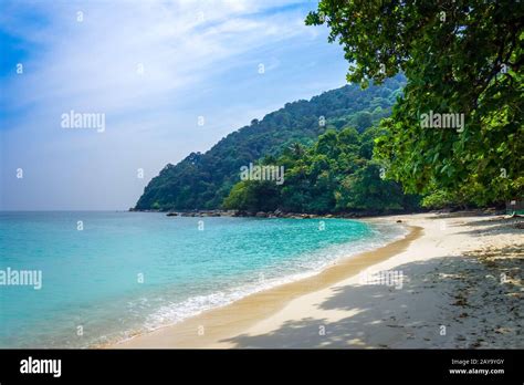 Turtle Beach Perhentian Islands Terengganu Malaysia Stock Photo Alamy