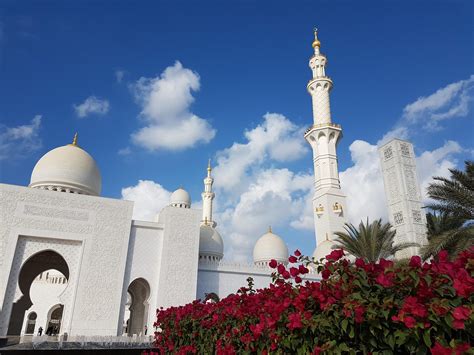 Abu Dhabi Sightseeing In The Morning | Emirates4you Tour & Safari