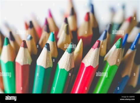 Colorful Multi Color Of Pencil Stock Photo Alamy