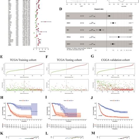 Construction Of Differentially Expressed Arg Signature Models A