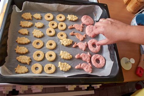 Cutting Cookies from the Dough Stock Photo - Image of bakery, cooking ...