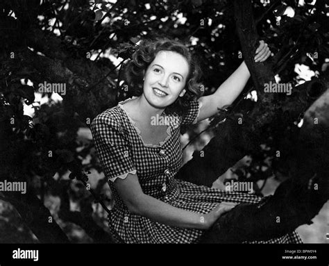 Phyllis Calvert In Tree Actress 1948 Stock Photo Alamy