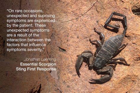 Closing Thoughts Essential Scorpion Sting First Response By Jonathan