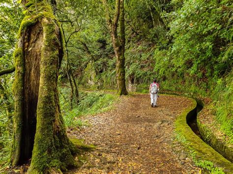 Melhores Trilhos E Levadas Da Madeira Mapa Dos Percursos Pedestres E