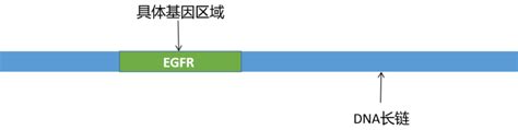 基因检测的测序深度，是越高越好吗？ 知乎