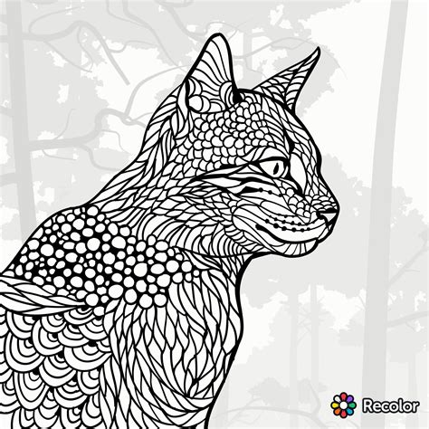 Pin Von Barbara Auf Coloring Cat 2